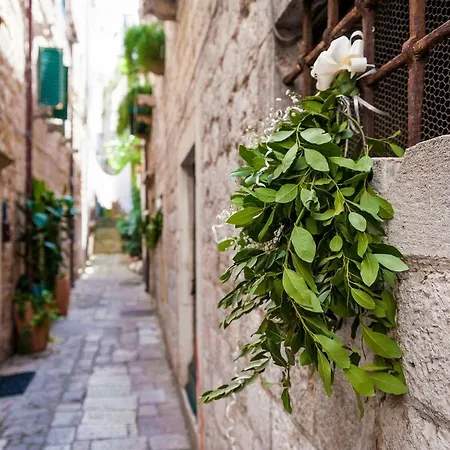 Πανσιόν Angelus