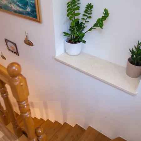 Angelus 3* דוברובניק