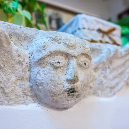 Angelus דוברובניק